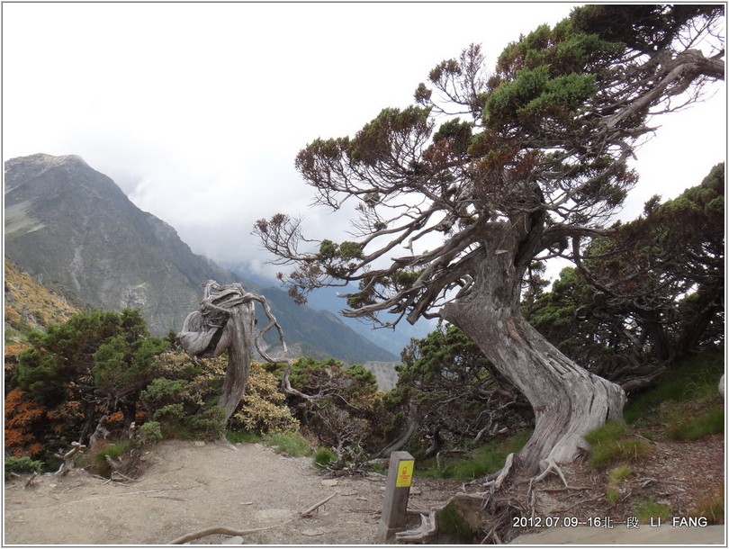 2012-07-11 13-10-02挺進五岩峰.JPG